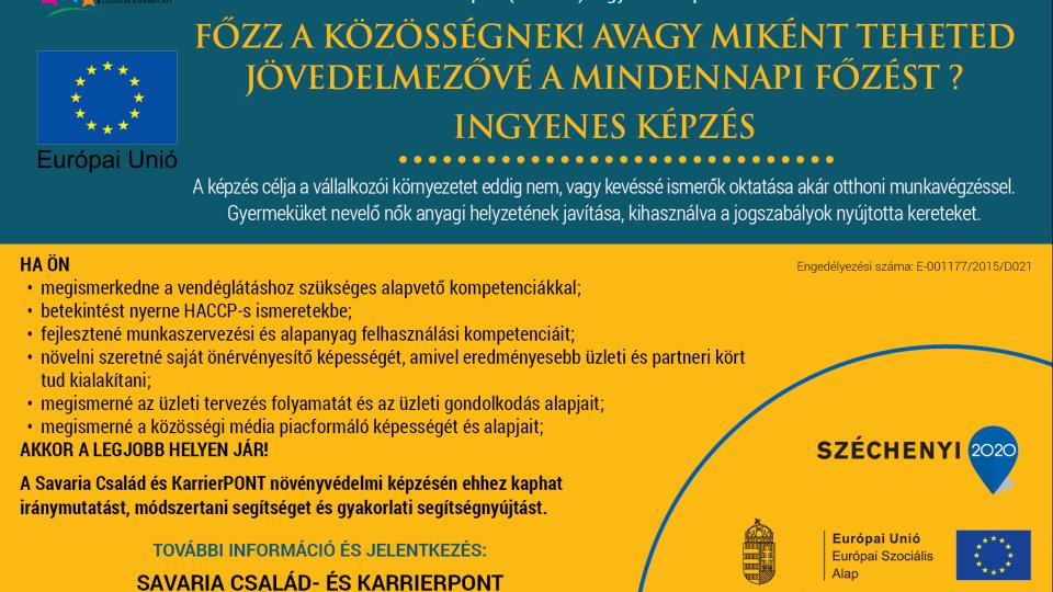 Fzz a kzssgnek! Avagy miknt teheted jvedelmezv a mindennapi fzst? - Ingyenes kpzs