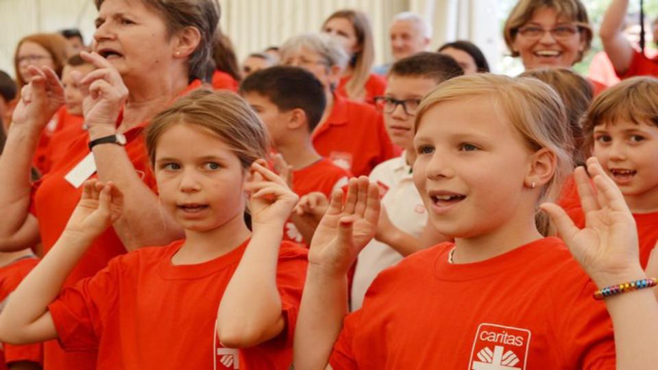 Zld utat kaptak a napkzis tborok - Narda ismt vrja a gyerekeket