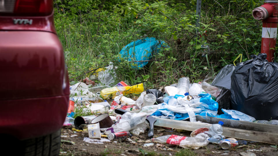 ldatlan llapotok a Szombathelyi Parkerdben