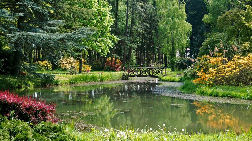 j lakk rkeztek a Kmoni Arbortumba