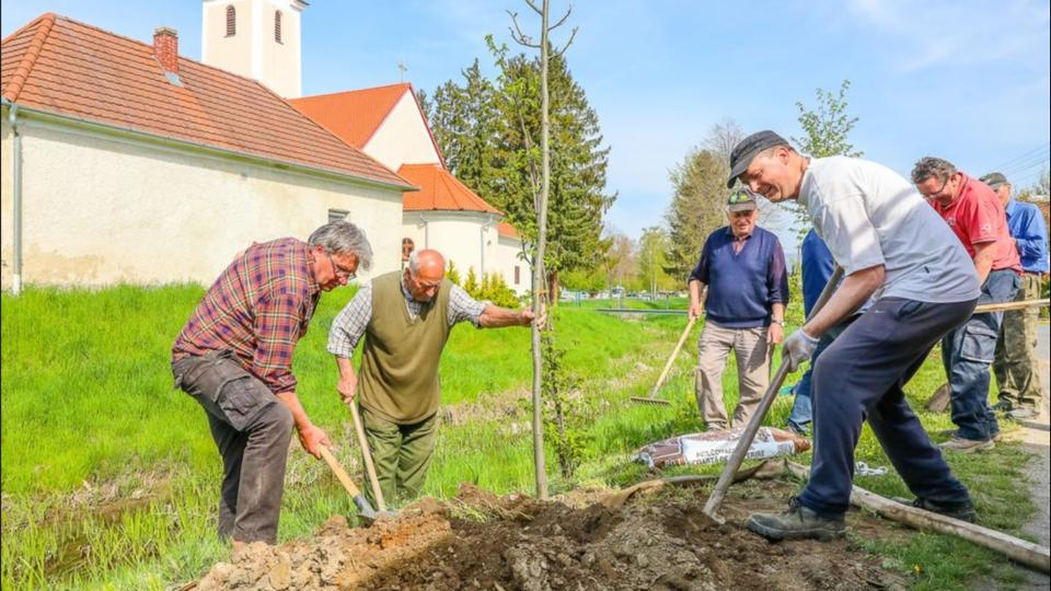 Tovbb zldlt Bucsu - Harminc hrsat ltettek a faluszpt napon