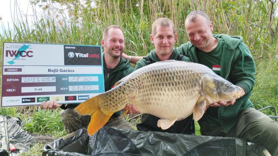 30 kils Tisza-tavi rekordponty: Akkort ordtottunk, hogy beleremegett a Tisza-t