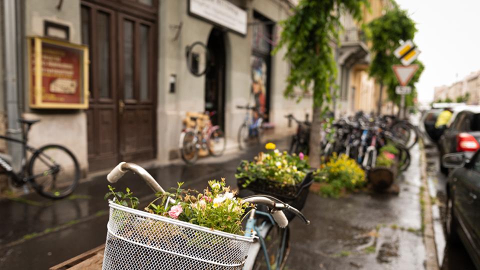 Falc, virgfld, palnta - Talpalatnyi kiskertek nttek a Szll Klmn utcban