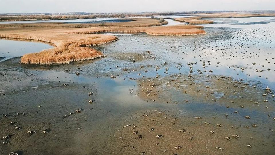 Kprzatos vide kszlt a tli Tisza-trl