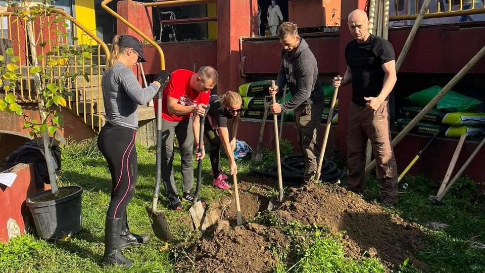 Civilek tettk rendbe a Domus kis zld szigett