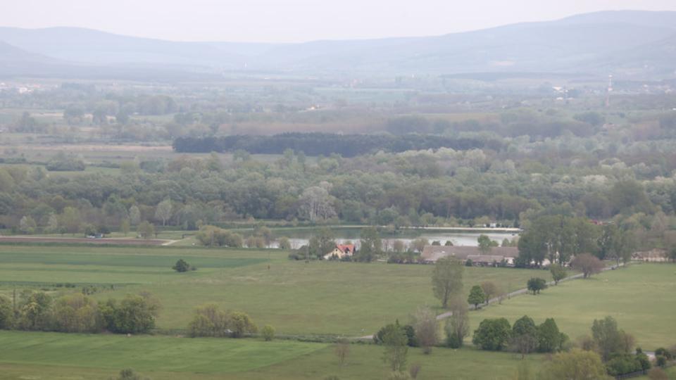 Magyarorszgi tban l a vilg legnagyobb pontya: 50 kil s jobban rzik, mint a nemzet aranyt, nem horgszhat r brki