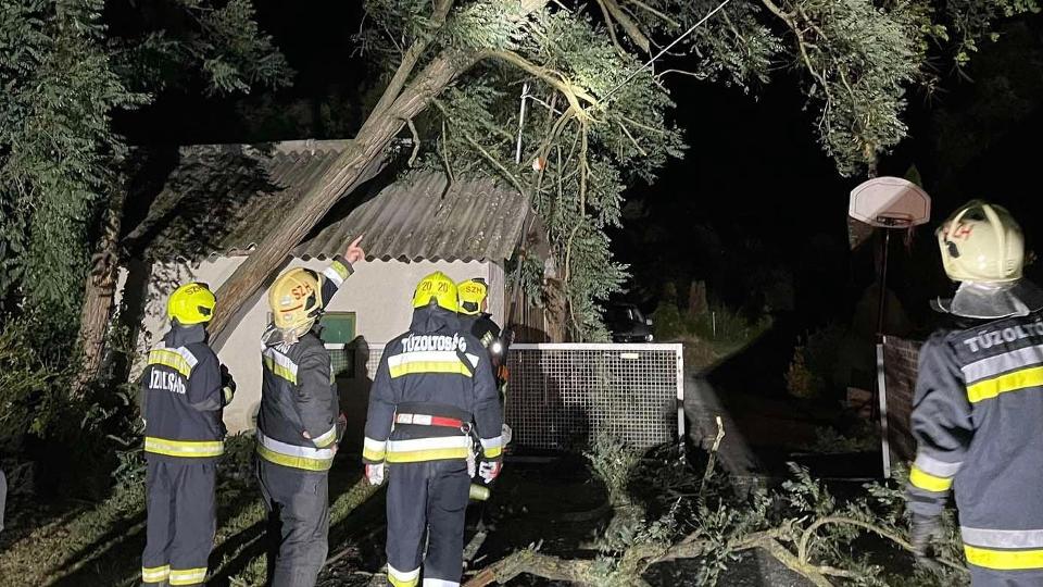 Fk dltek ki, s tetket bontott meg a szl Vas vrmegyben