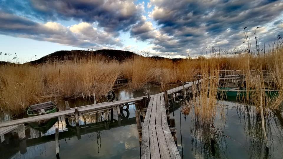 Bajban a Balaton: Hov lettek a ndvgk? 