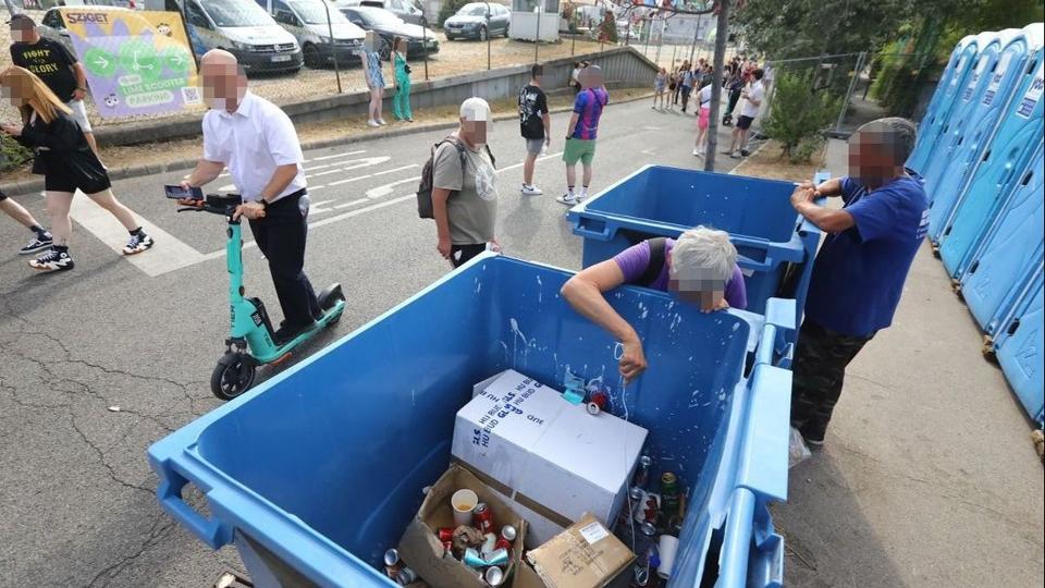 Palackvadszok leptk el a Sziget krnykt