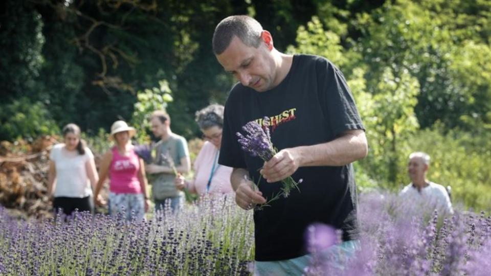 Levendulaszret Szombathelyen – Az Esemberke Alaptvny kertjben  