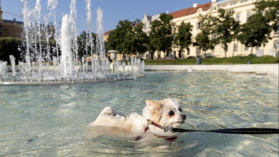 Az utbbi hatvan v legmelegebbje volt az idei augusztus Horvtorszgban