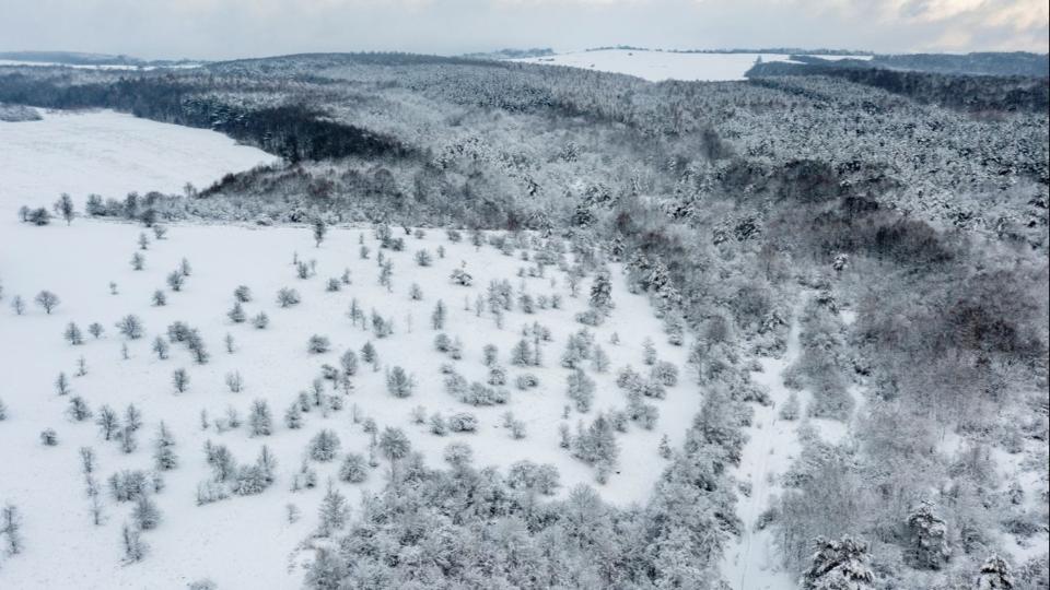 Trkpen mutatjuk a vrhat havazst